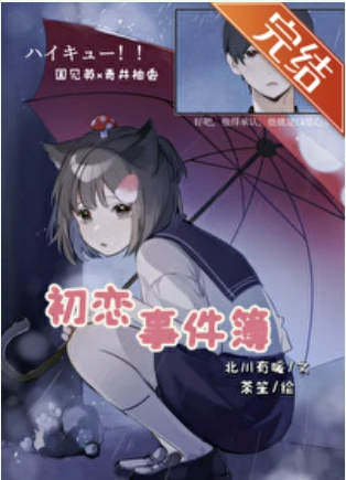【资源】《（排球少年同人）[排球少年]初恋事件簿》作者：北川有暖【完结+番外】