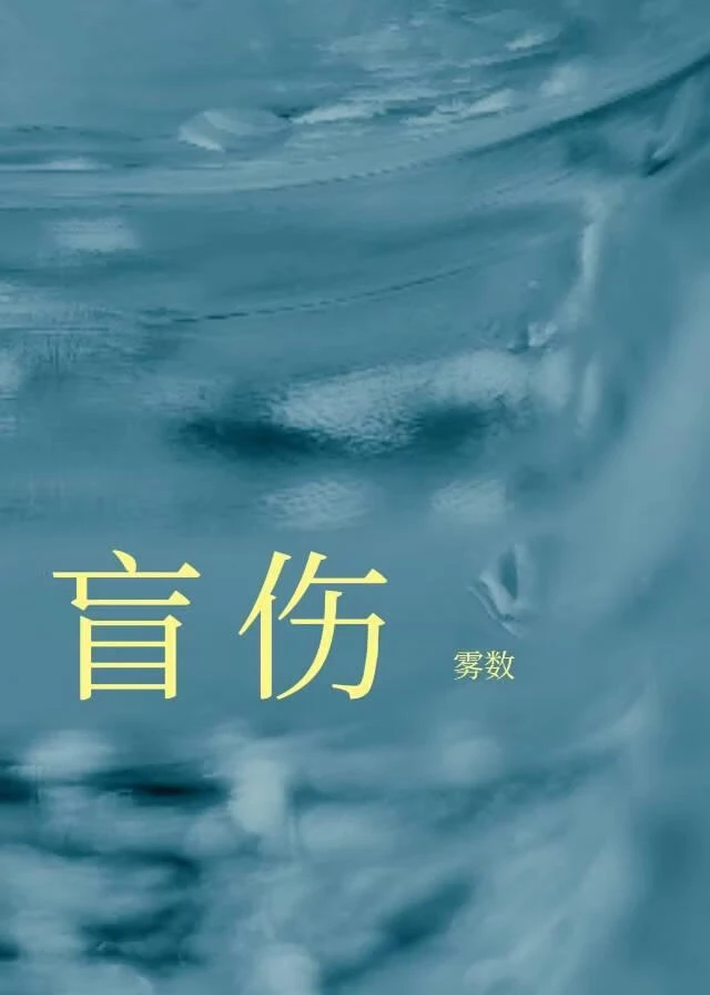 【资源】《盲伤/去他个狗屁良心》作者：雾数【完结+番外】
