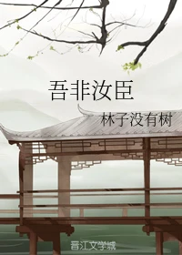 【资源】《吾非汝臣》作者：林子没有树【完结】