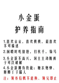 【资源】《小金蛋护养指南》作者：糯糯啊【完结+番外】（2017.02.14更新番外完结）