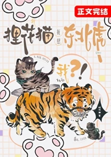 【资源】《我，狸花猫，抚慰东北虎？》作者：鹤梓【完结+番外】