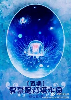 【资源】《男票是灯塔水母〔直播〕》作者：花心者【完结】