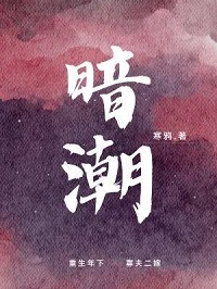 【资源】《暗潮》作者：寒鸦/梅八叉【CP完结+番外】