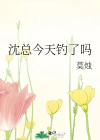 【资源】《沈总今天钓了吗》作者：莫烛【完结】
