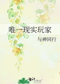【资源】《唯一现实玩家》作者：与神同行【完结+番外】