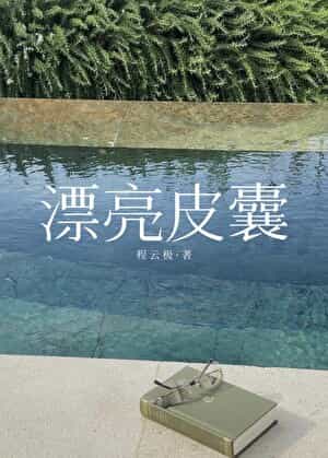 【资源】《漂亮皮囊》作者：程云极【完结+番外】
