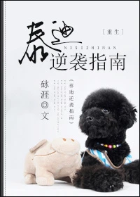 【资源】《泰迪逆袭指南[重生]》作者：砯涯【完结+番外】（2016.11.30更新番外完结）