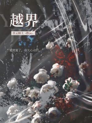 【资源】《越界》作者：青云梯上【CP完结】