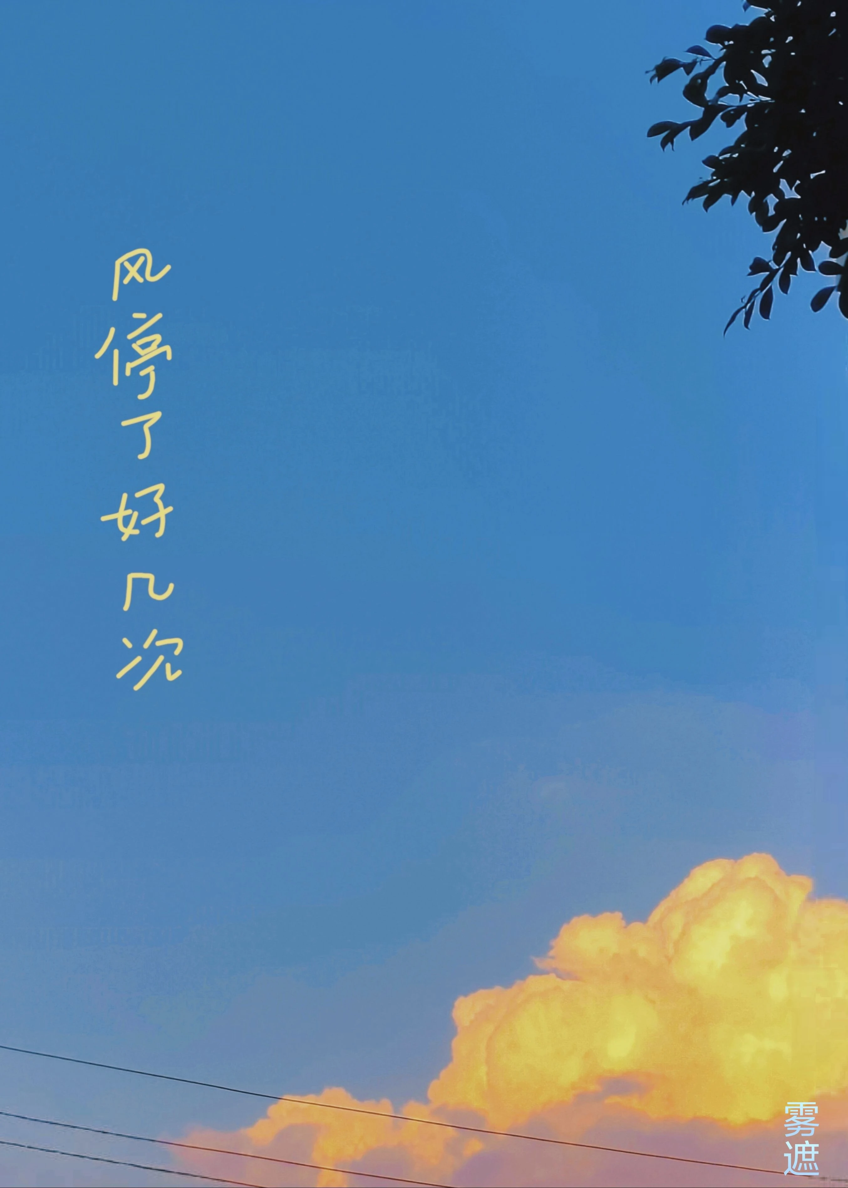 【资源】《风停了好几次》作者：雾遮【完結+番外】