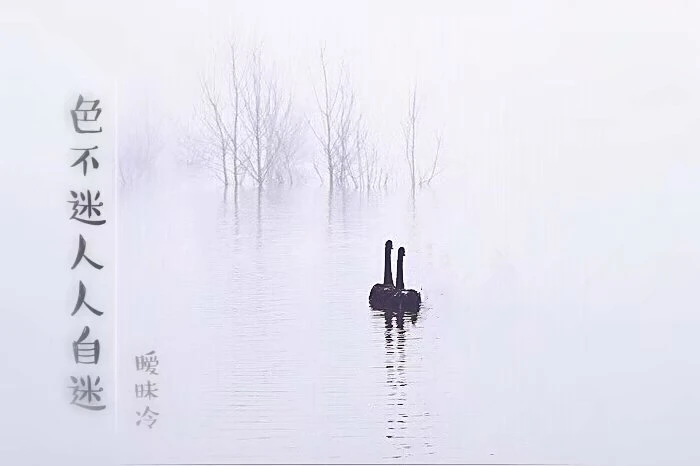 【资源】《色不迷人人自迷》作者：暧昧冷【完结+番外】