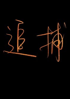 【资源】《追捕》作者：立席/立水吟【完结+番外】