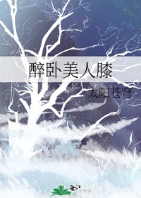 【资源】《醉卧美人膝》作者：落日别样圆/太阳苍穹【完结】