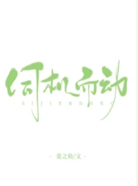 伺机而动