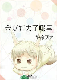 【资源】《金嘉轩去了哪里》作者：徐徐图之【完结】