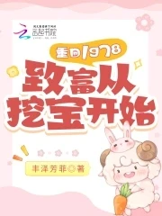 【资源】《重回1978：致富从挖宝开始》作者：丰泽芳菲【完结+番外】