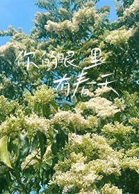 【资源】《你的眼里有春天》作者：叹西茶【完结】