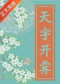 【资源】《天成记事/天宇开霁》作者：素光同【完结+番外】