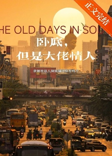 【资源】《卧底，但是大佬情人》作者：过隙的马【完结】