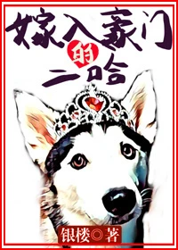 【资源】《嫁入豪门的二哈》作者：银楼【完结】
