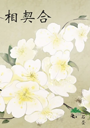 【资源】《相契合》作者：石莹【完结】