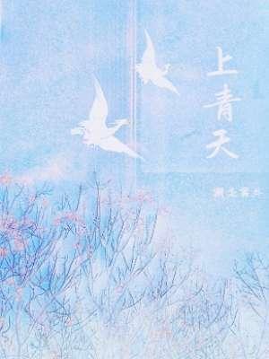 【资源】《上青天》作者：潮染雾外【CP完结】