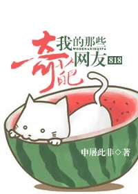 【资源】《818我的那些奇葩网友》作者：申屠此非【完结+番外】