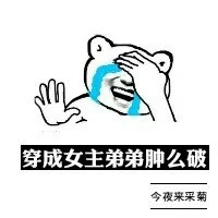【资源】《穿成女主弟弟肿么破》作者：今夜来采菊【完结+番外】（2017.7.11更新番外完结）