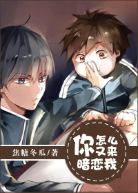 【资源】《你怎么又来暗恋我/无限深潜计划》作者：焦糖冬瓜【完结+番外】（2017.11.23更新番外完结）
