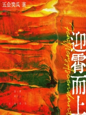 【资源】《迎霄而上》作者：五金卖瓜【CP完结】