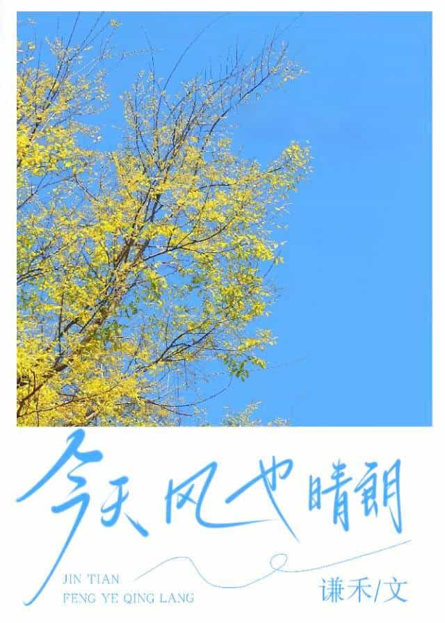 【资源】《今天,风也晴朗》作者：谦禾【完结】