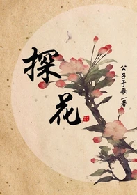 【资源】《探花》作者：公子于歌/公子歌【完结】