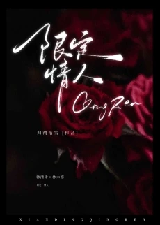 【资源】《限定情人》作者：归鸿落雪【完结+番外】