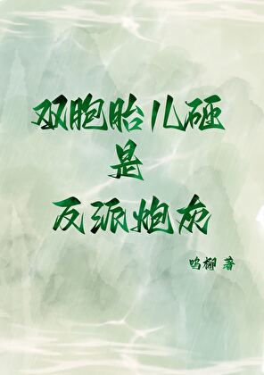 【资源】《双胞胎儿砸是反派炮灰》作者：呜柳【完结】