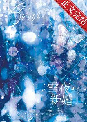 【资源】《雪夜新婚》作者：一枚柚【完结+番外】