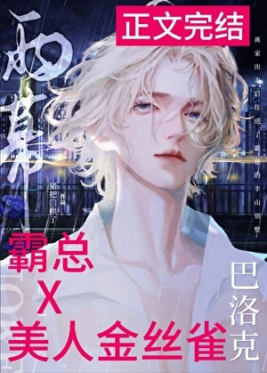 【资源】《雨幕巴洛克》作者：猪把门拱了【完结】