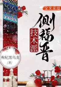 【资源】《技术派侧福晋》作者：枸杞黑乌龙【完结+番外】