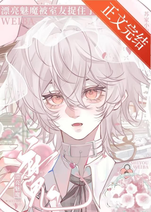 【资源】《漂亮魅魔被室友捉住了》作者：苏家小白【完结+番外】
