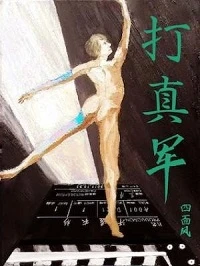 【资源】《打真军》作者：四面风【CP完结+番外】