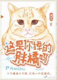 【资源】《这是你掉的胖橘吗》作者：绣生【完结+番外】