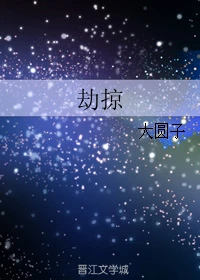【资源】《劫掠》作者：大圆子【完结】