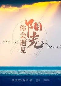 【资源】《你会遇见阳光》作者：黑煤炭爱竹竿【完结】
