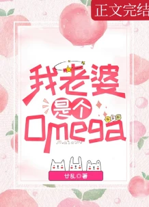 【资源】《我老婆是个Omega》作者：廿乱【完结+番外】