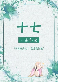 【资源】《十七》作者：南孚/废孚一只/一南孚/南孚一只【完结】