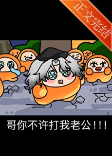 【资源】《哥你不许打我老公！！》作者：流初【完结+番外】
