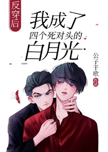 【资源】《反穿后我成了四个死对头的白月光》作者：公子于歌【完结+番外】