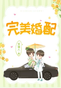 【资源】《完美婚配》作者：笑佳人【完结+番外】