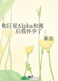 【资源】《和巨星Alpha和离后我怀孕了》作者：新苗【完结+番外】