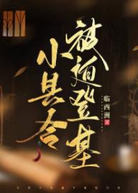 【资源】《小县令被迫登基（基建）》作者：临西洲【完结】