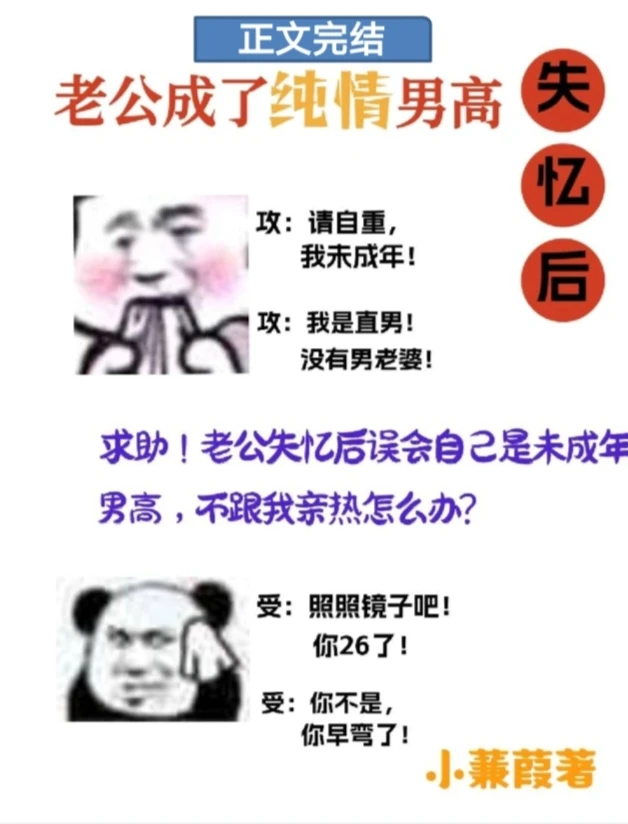 【资源】《失忆后老公成了纯情男高》作者：小蒹葭【完结+番外】