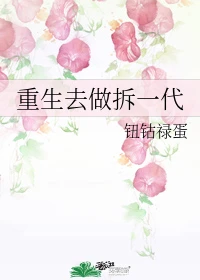 【资源】《重生去做拆一代》作者：钮钴禄蛋【完结】